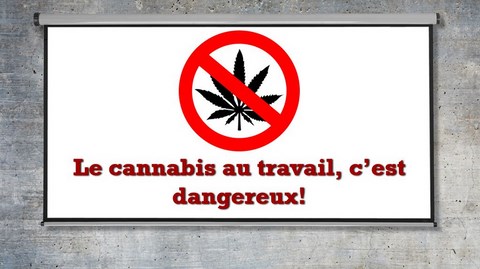 Affichage dynamique SST Cannabis au travail